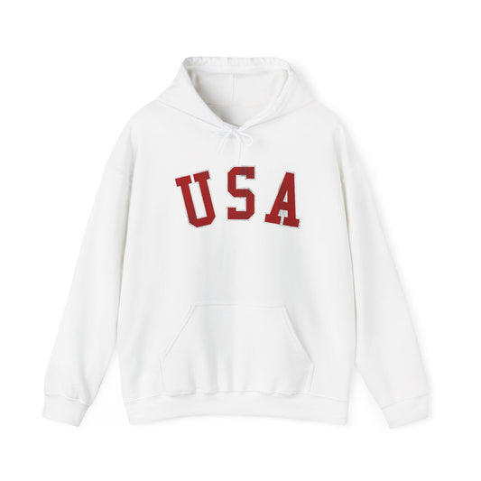 USA Classic AMERICANA Graphic Hoodie Unisex Heavy Blend™ Hooded Sweatshirt