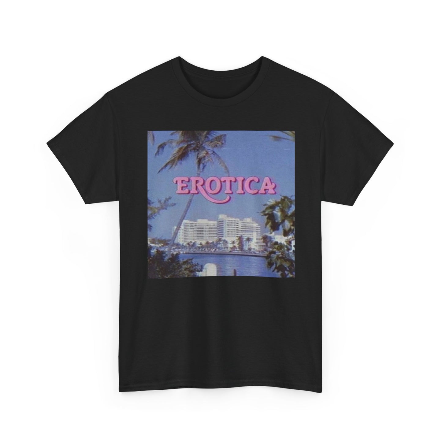 Erotica Funny Graphic T-Shirt Unisex Heavy Cotton Tee