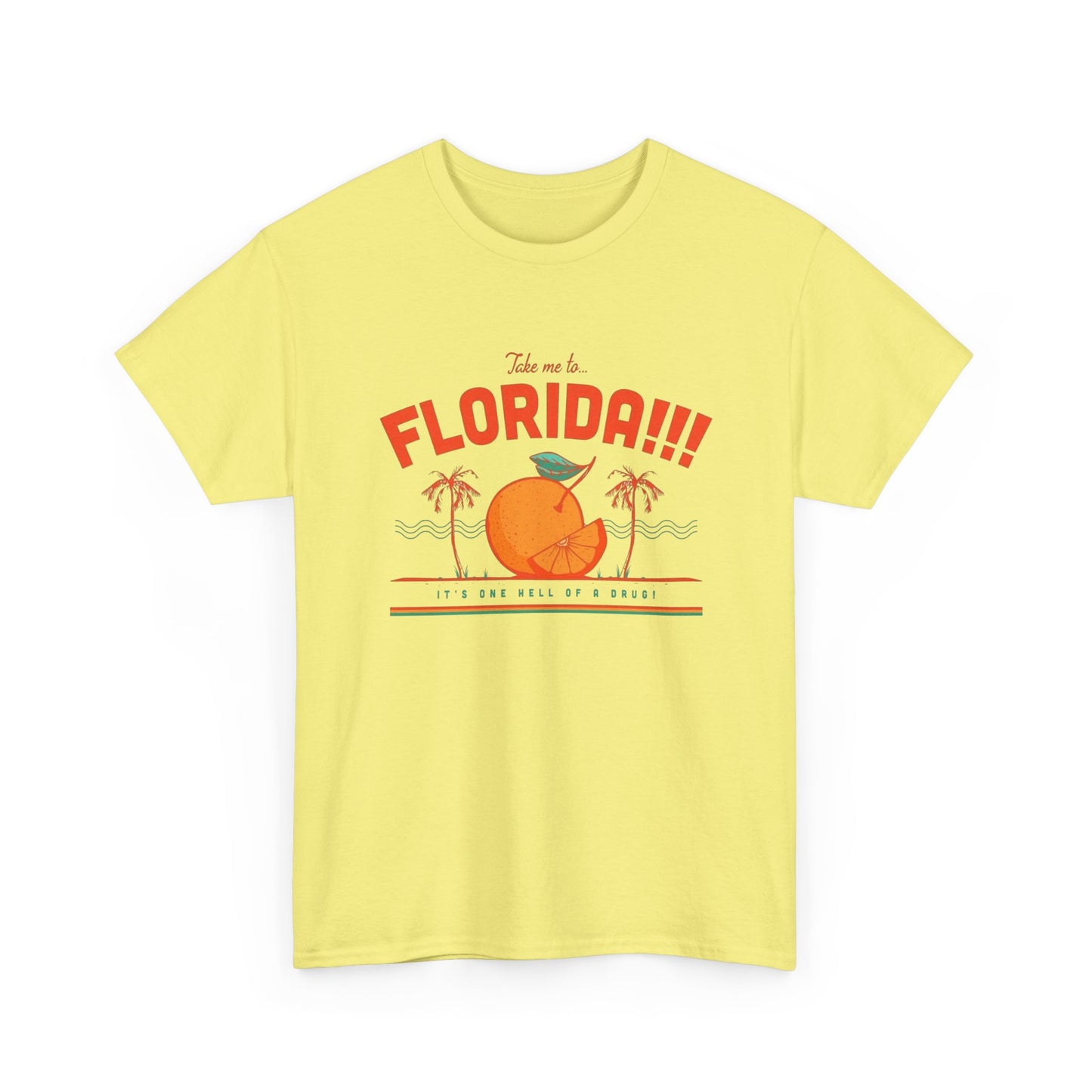Take Me To Florida Funny Graphic T Shirt NEW Unisex Heavy Cotton Tee