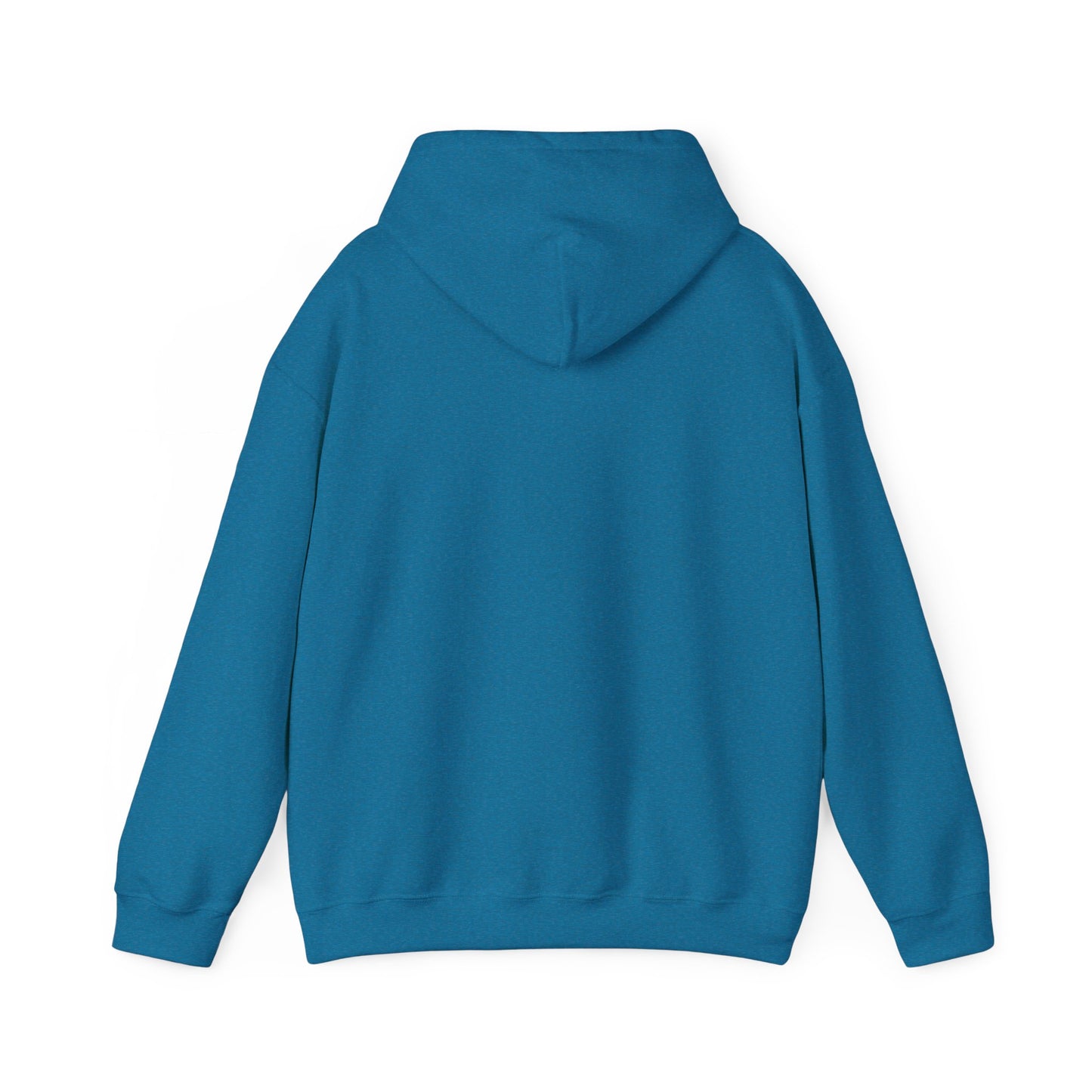Orlando Florida Graphic Hoodie Hooded Sweatshirt NEW ADULT
