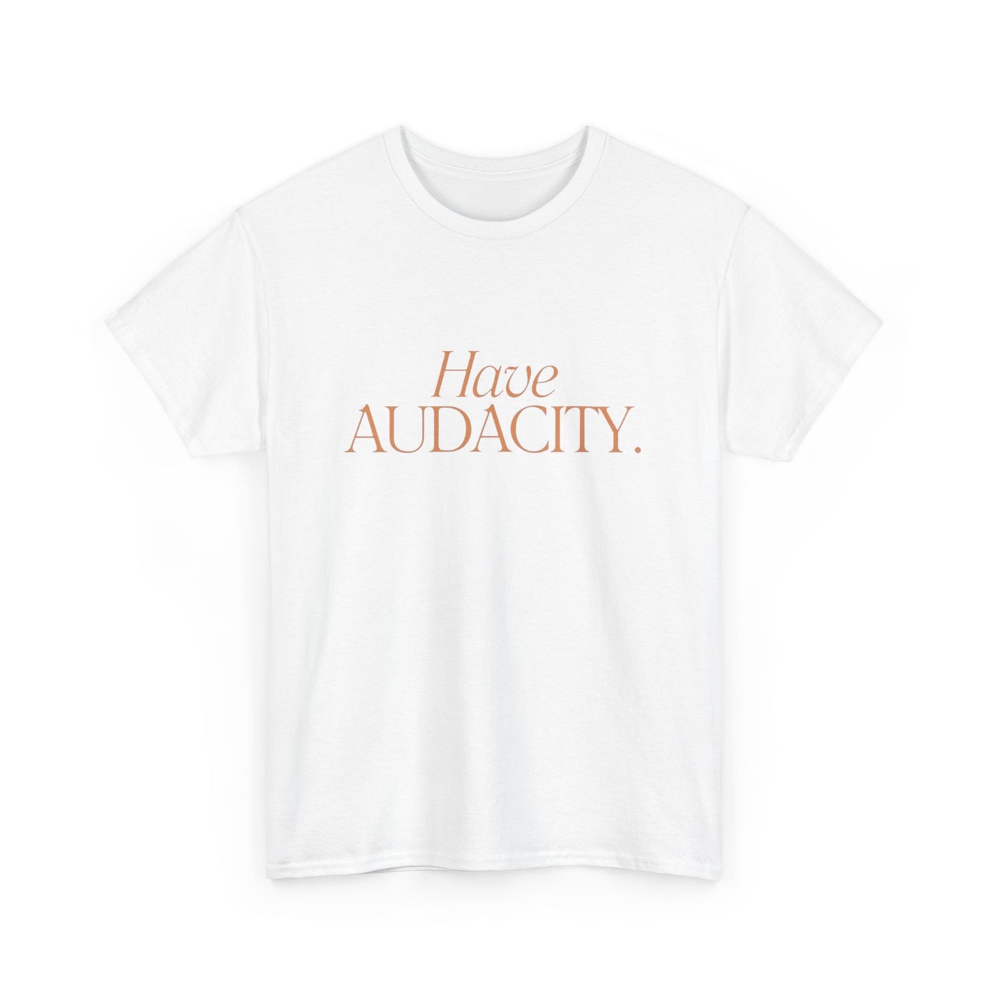 Have Audacity Graphic T Shirt NEW ADULT TEE VINTAGE