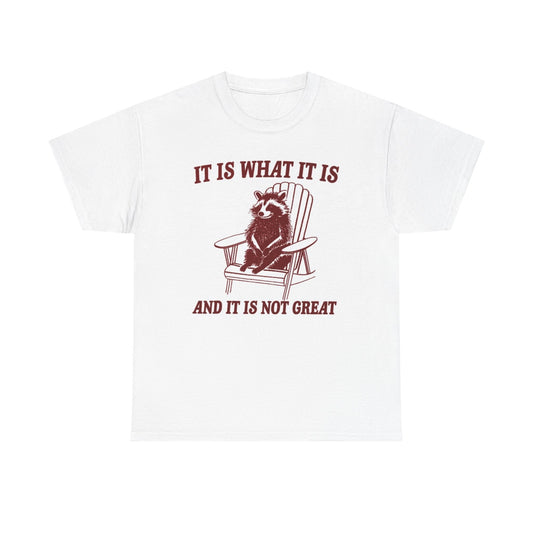 It Is What It Is Funny T Shirt Graphic Jokes Unisex Heavy Cotton Tee