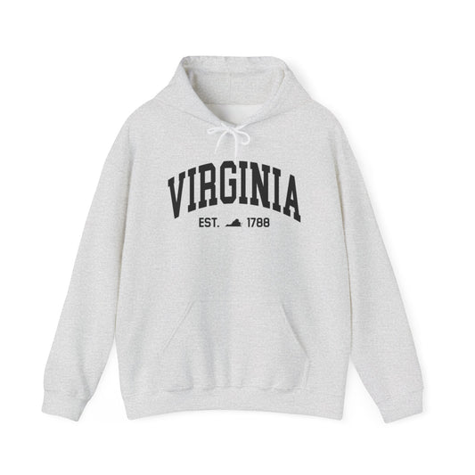 Virginia State Graphic Hoodie Unisex Heavy Blend™ Hooded Sweatshirt