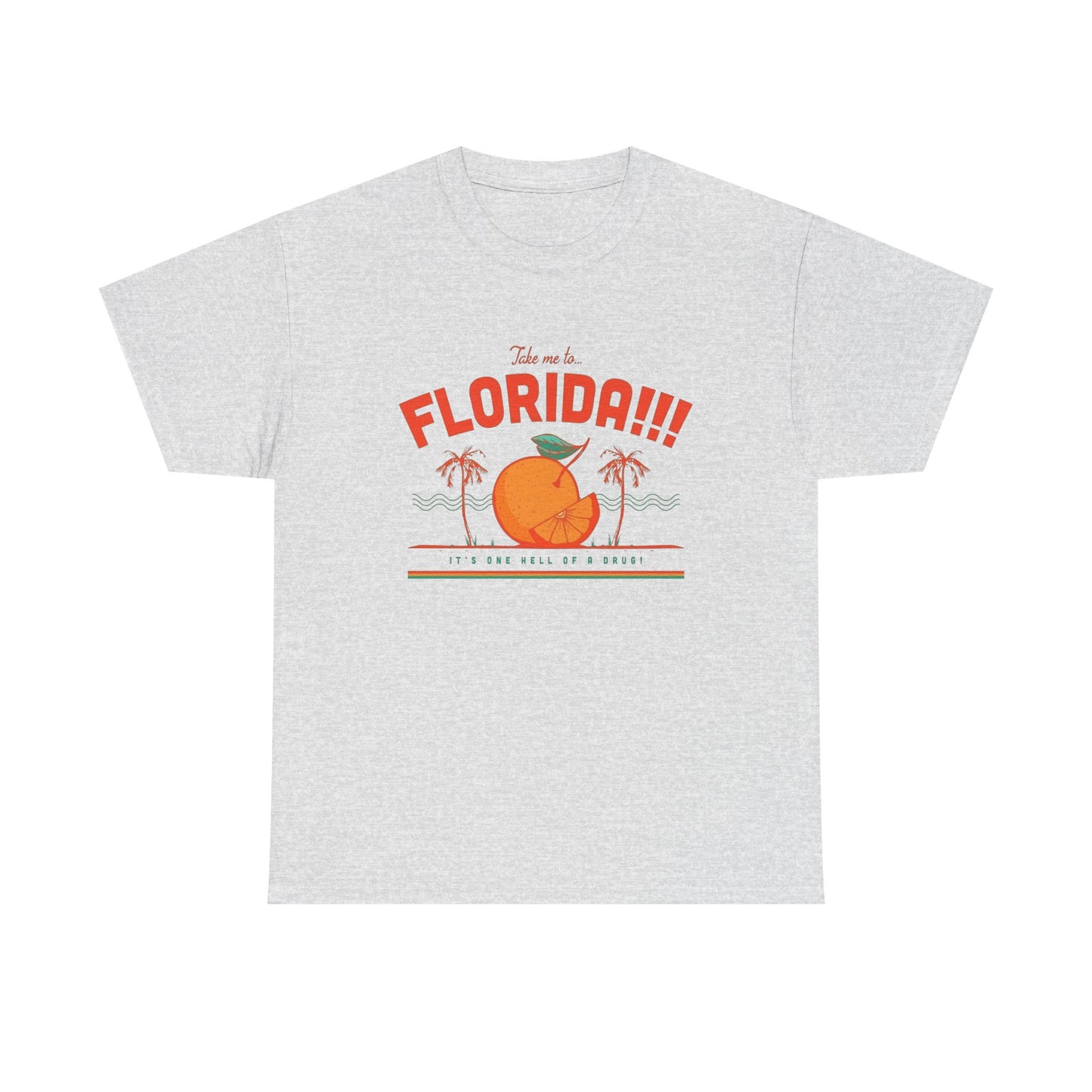 Take Me To Florida Funny Graphic T Shirt NEW Unisex Heavy Cotton Tee
