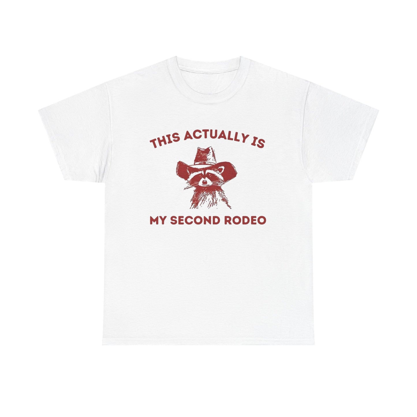 This Is My Second Rodeo Funny Graphic T Shirt Regular Men's Heavy Cotton Tee