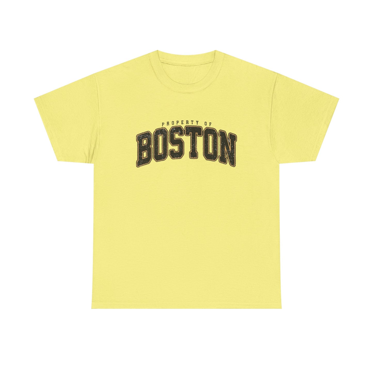 Property Of Boston Graphic T Shirt ADULT NEW