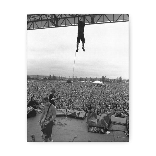 Pearl Jam On Stage Photograph Framed Stretched Canvas Multiple Sizes