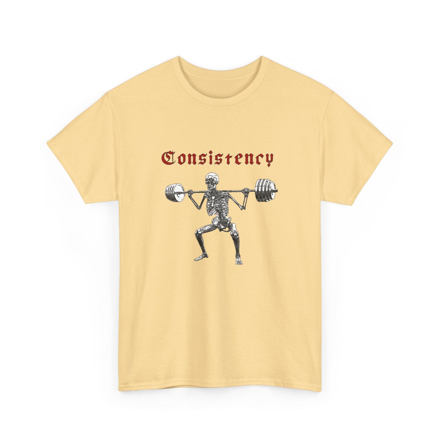 Consistency GYM Workout Graphic T Shirt New Adult Unisex Heavy Cotton Tee