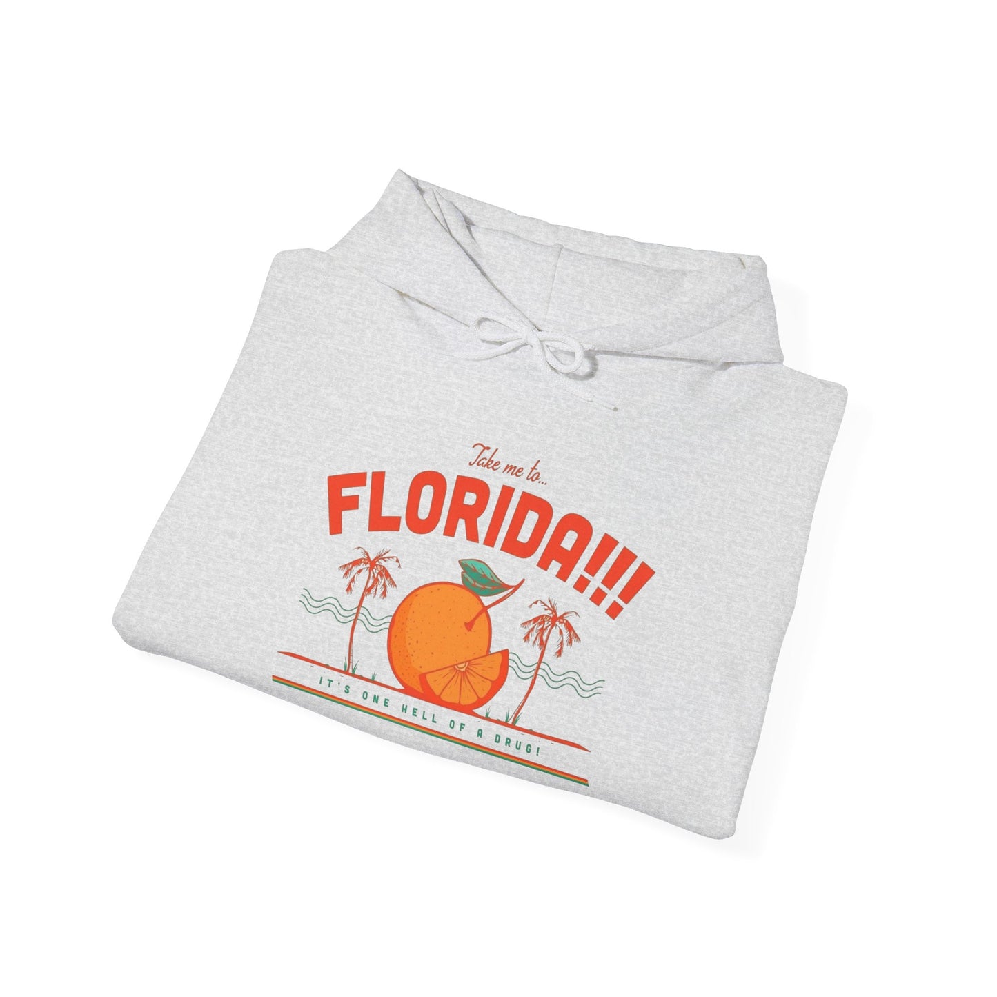 Take Me To Florida Graphic Hoodie Heavy Blend Sweatshirt NEW