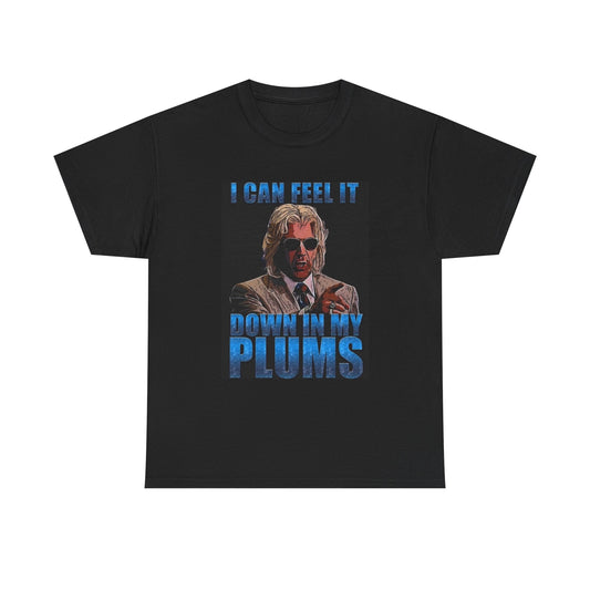 Ashley Schaffter Tshirt Funny Kenny Powers Will Ferrell Unisex Comedy Series