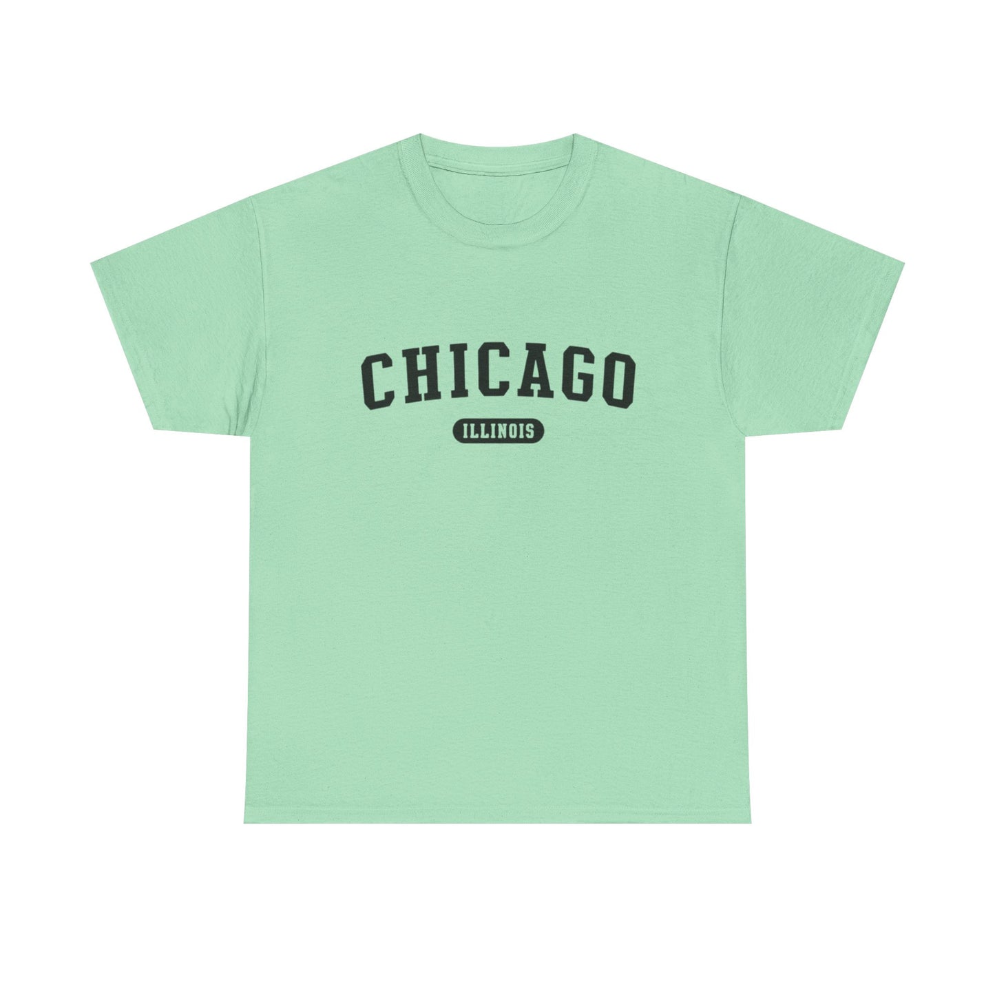 Chicago Illinois Graphic T Shirt ADULT NEW