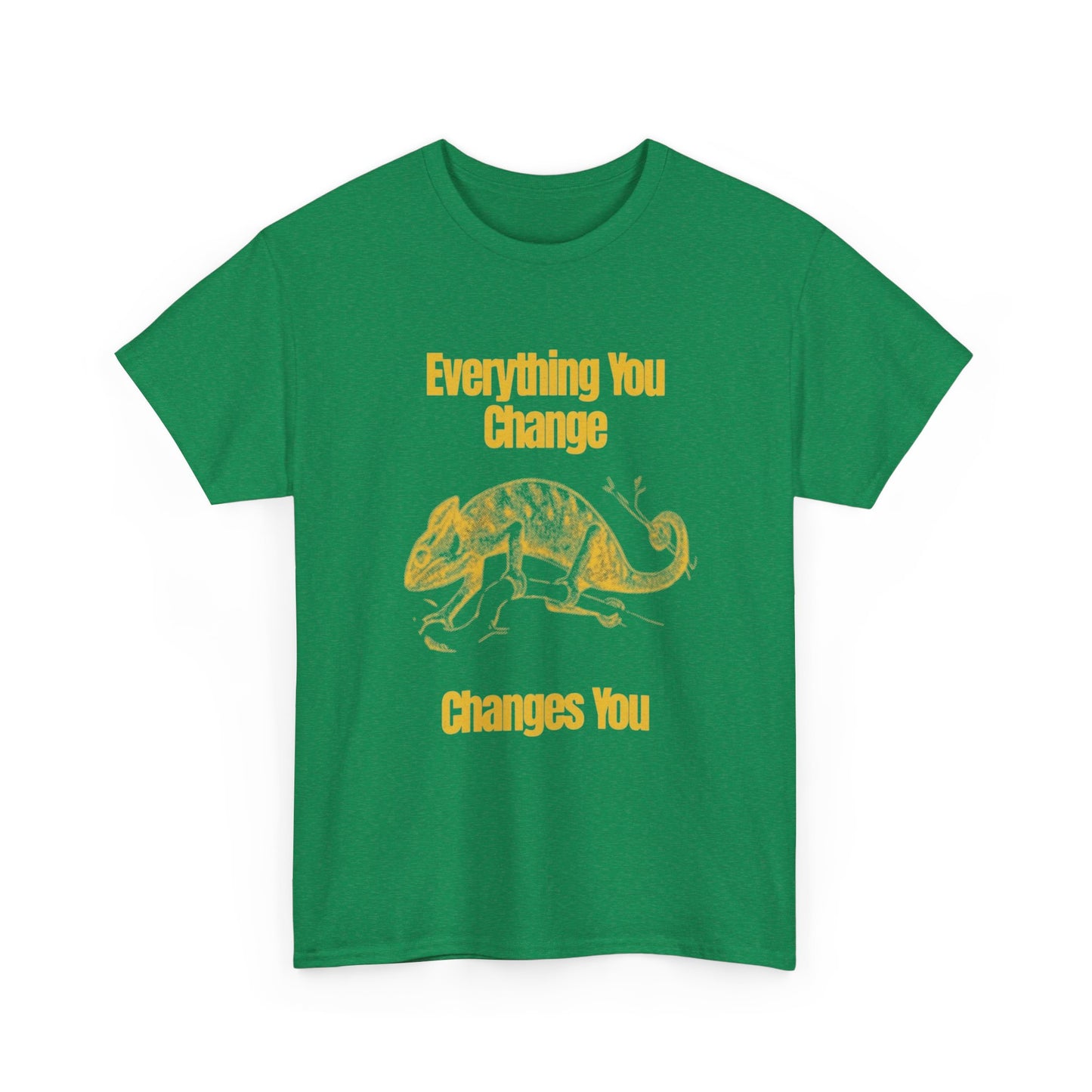 Everything You Change Changes You Graphic T Shirt Unisex Heavy Cotton Tee