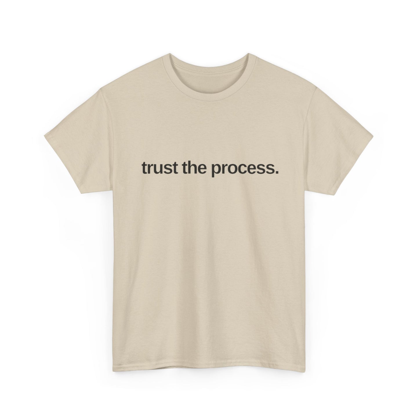 Trust The Process Graphic T Shirt NEW ADULT Tee