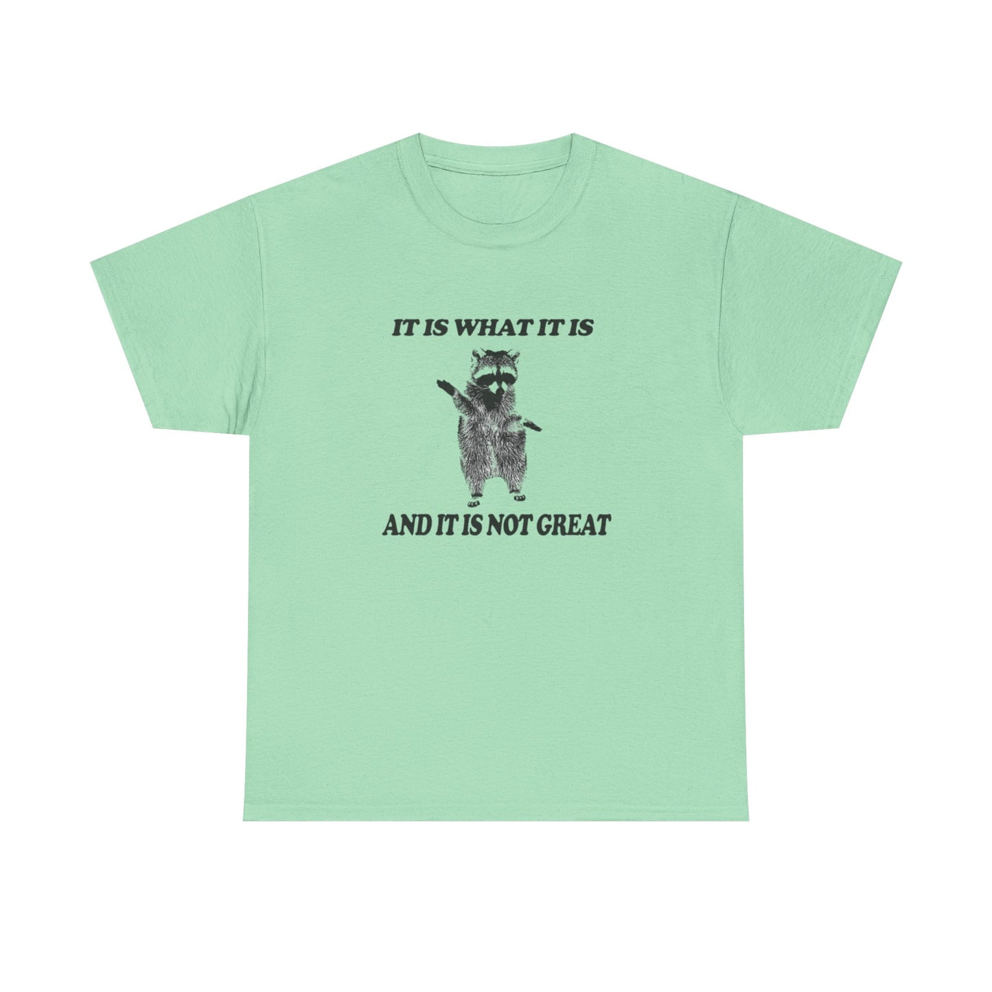 It Is What It Is Funny Raccoon Graphic T Shirt Unisex Heavy Cotton Tee
