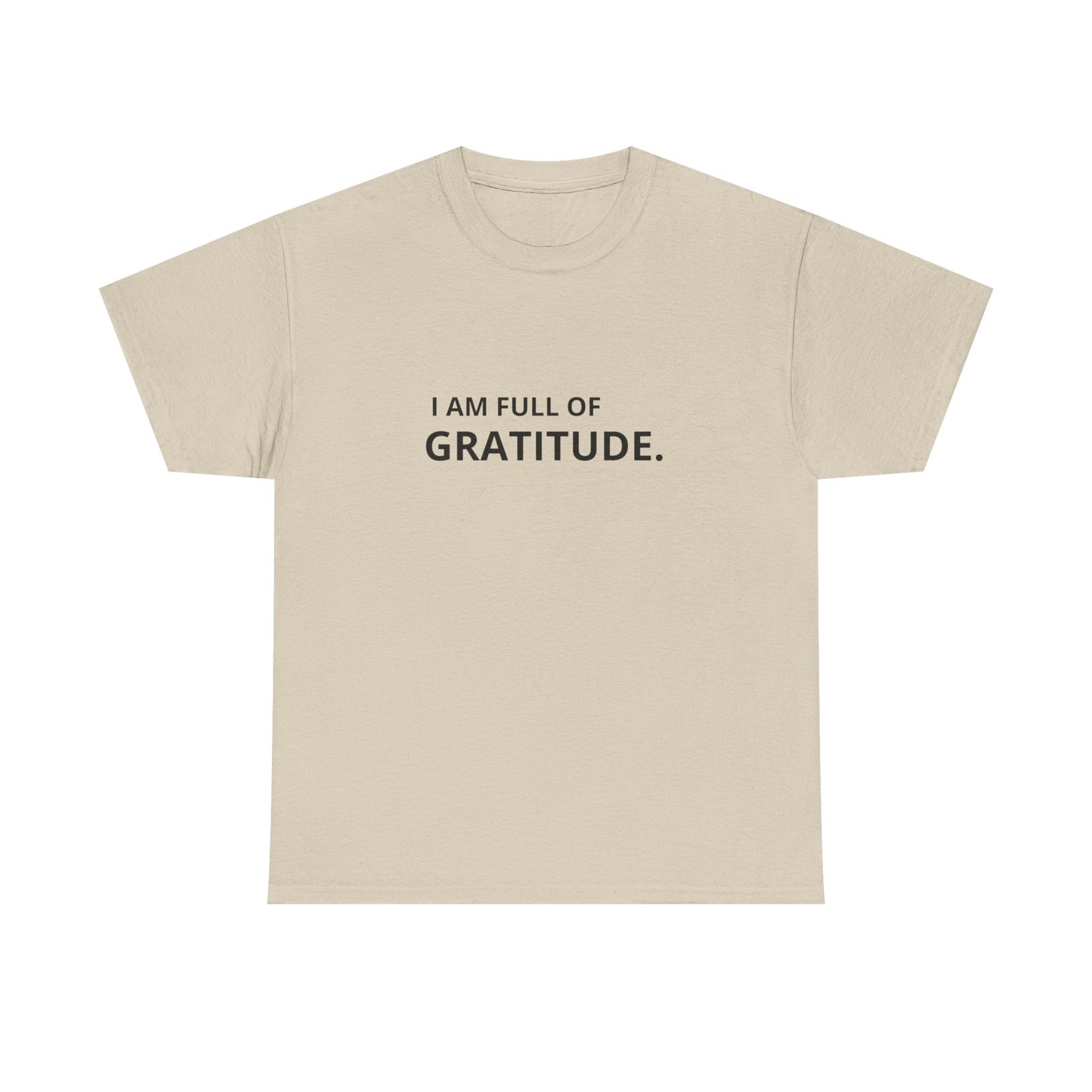 I Am Full Of Gratitude Graphic T Shirt NEW ADULT Tee