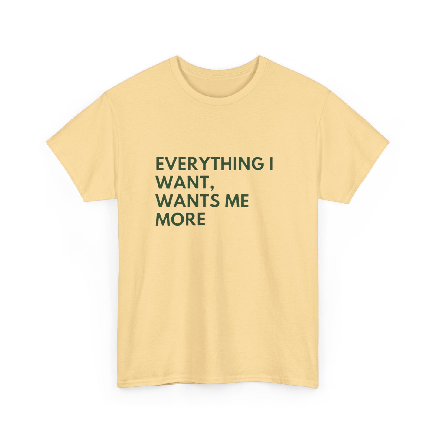 Everything I Want Wants Me More Graphic T Shirt NEW ADULT Tee