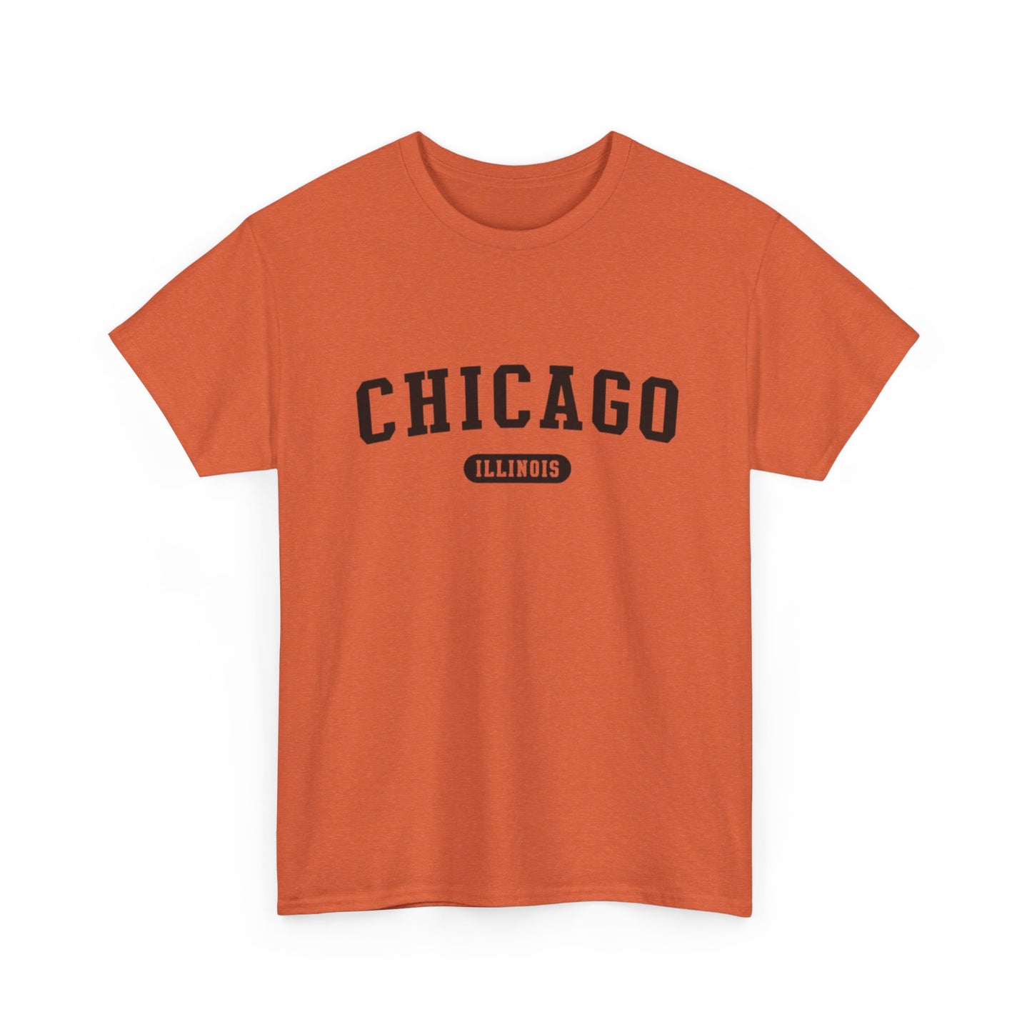 Chicago Illinois Graphic T Shirt ADULT NEW